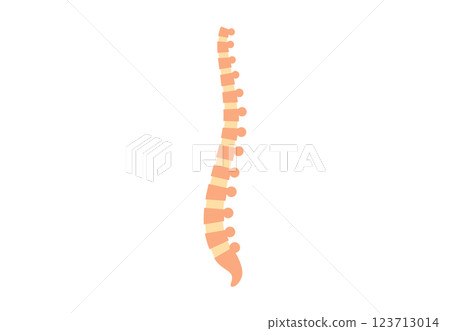 Spine medical poster 123713014