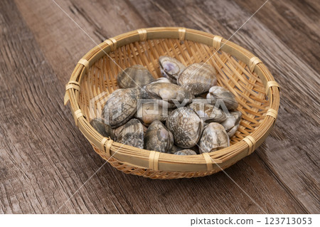 蛤蜊 123713053