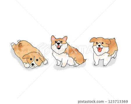 Three cute smiling corgi puppies Three cute smiling corgi puppies 123713369