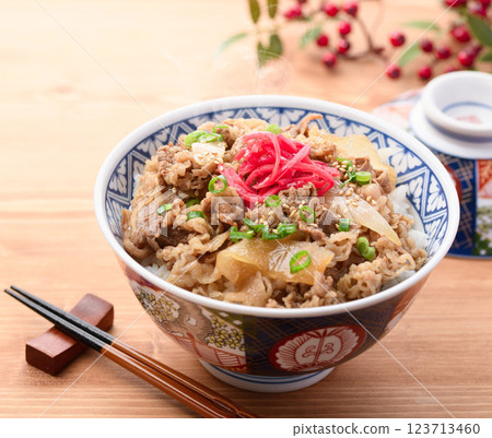 Beef bowl image 123713460