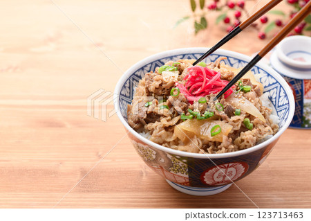 Beef bowl image 123713463