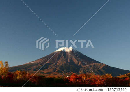 藍天下的秋季森林、白色雷達罩和白雪皚皚的富士山 123713511