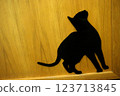 Cat climbing stairs sticker 123713845