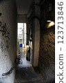 Passageway through the buildings in Edinburgh Old Town 123713846