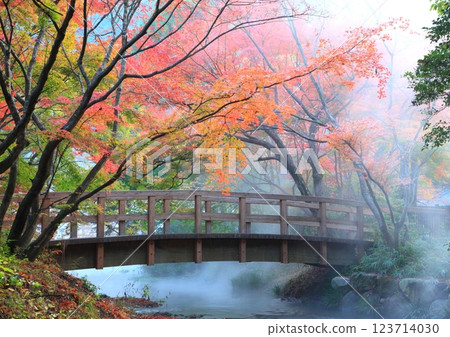 Foggy Yufuin (Lake Kinrin, Yufuin Town, Yufu City) 123714030