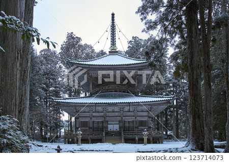 高野山西塔飄雪 高野山西塔飄雪 123714073