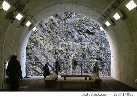 Columnar joints [Tokamachi City, Niigata Prefecture] 123714092