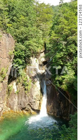 Spectacular views! Beautiful summer greenery and Ushigataki Falls [Kakizore Valley, Nagano Prefecture] 123714568