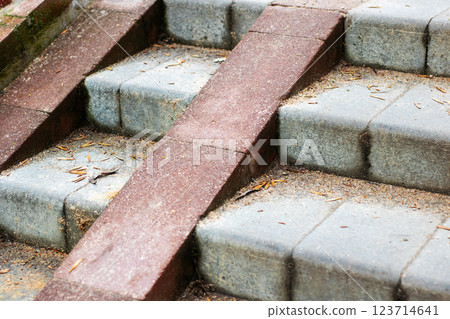A charming brick walkway that has a few steps that are missing 123714641