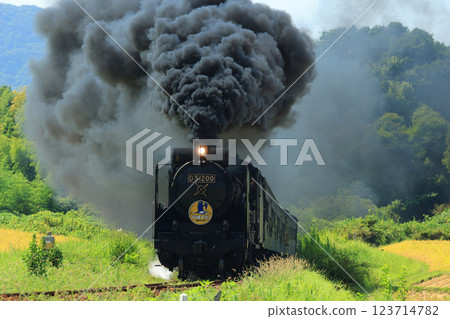 SL Yamaguchi D51 5298 123714782