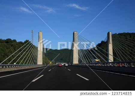 宮古田川大橋晨間遊覽船 [靜岡縣濱松市] 123714835