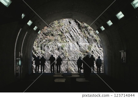 Columnar joints [Tokamachi City, Niigata Prefecture] 123714844