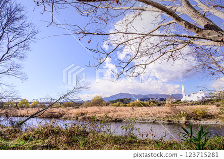 View of the Sagami River through the trees 123715281