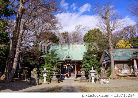 A panoramic view of Aruka Shrine in Ebina City surrounded by trees 123715284