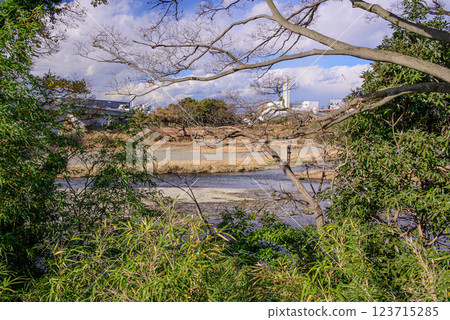View of the Sagami River through the trees 123715285