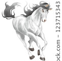 白馬 123715343