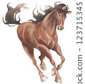 一匹棕色的馬 123715345