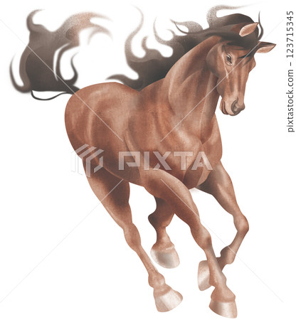 A brown horse A brown horse 123715345