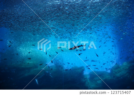 潛水員噴出氣泡 123715407