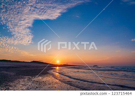 [Shizuoka Prefecture] Nakatajima Sand Dunes, Sunrise 123715464