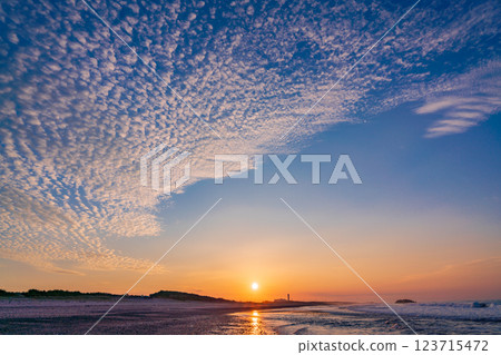 [Shizuoka Prefecture] Nakatajima Sand Dunes, Sunrise 123715472