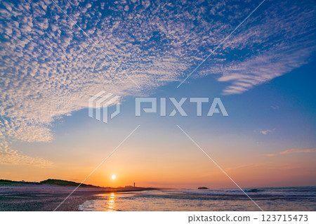 [Shizuoka Prefecture] Nakatajima Sand Dunes, Sunrise 123715473