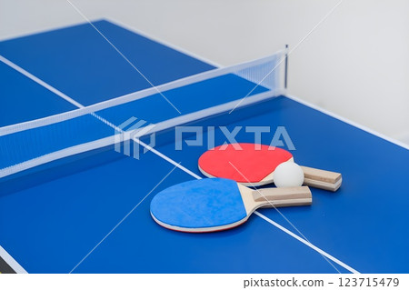 Sports. Table tennis. Ping pong 123715479