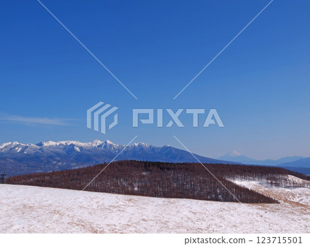 長野縣霧峰高原八嶽山和富士山 長野縣霧峰高原八嶽山和富士山 123715501