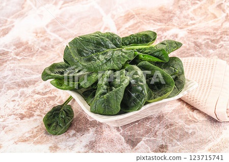 Fresh green spinach leaves heap 123715741