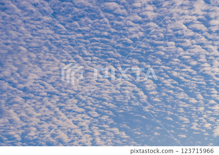 [Shizuoka Prefecture] Nakatajima Sand Dunes and Climatic Clouds Above 123715966