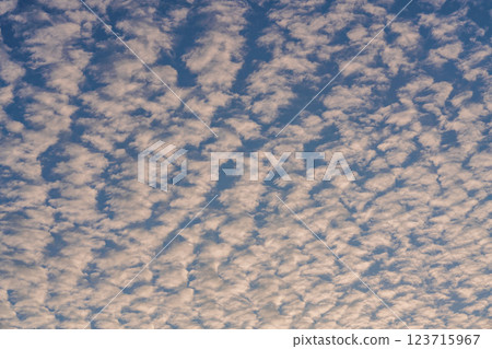 [Shizuoka Prefecture] Nakatajima Sand Dunes and Climatic Clouds Above 123715967