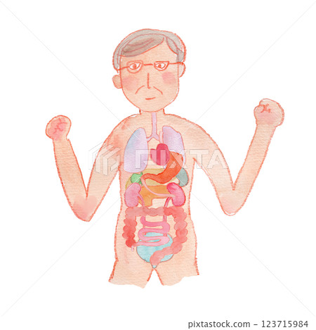 健康老人及內臟的水彩畫 健康老人及內臟的水彩畫 123715984