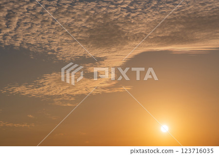 [Shizuoka Prefecture] Nakatajima Sand Dunes and Sunrise Sky 123716035