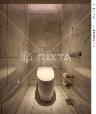 Stylish toilet 123716103
