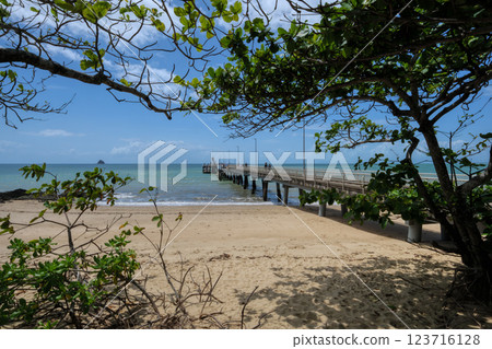 Road to the sea 123716128