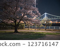 Lighted cherry blossoms 123716147