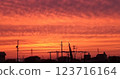 Sky stained orange 123716164