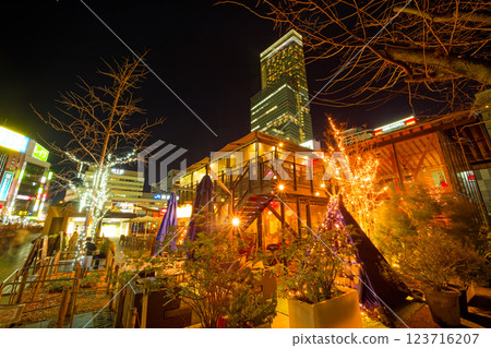 天王寺公園的燈飾和阿倍野Harukas的夜景 天王寺公園的燈飾和阿倍野Harukas的夜景 123716207