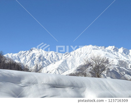 Snow scene in the Northern Alps 123716309
