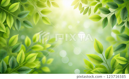 A refreshing green background filled with light for spring/summer advertising design 123716385