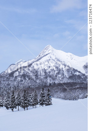 鏡音雪景 123716474