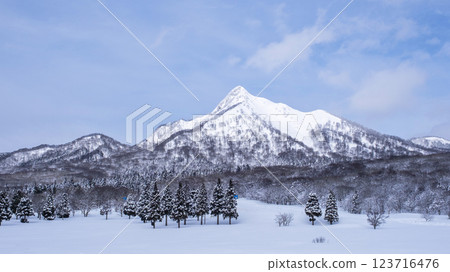 鏡音雪景 鏡音雪景 123716476