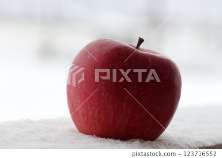 An apple placed in a snowy landscape An apple placed in a snowy landscape 123716552
