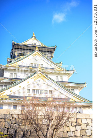 在大阪城堡的城堡塔 在大阪城堡的城堡塔 123716831