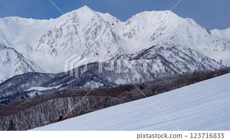 Ski resort slope scenery Hakuba Iwatake Snow Field 123716835