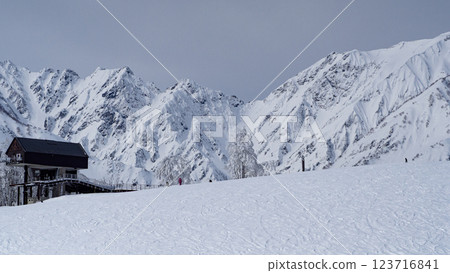 Ski resort slope scenery Hakuba Iwatake Snow Field 123716841