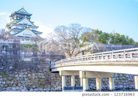 在大阪城的Nakagaru橋樑 在大阪城的Nakagaru橋樑 123716963