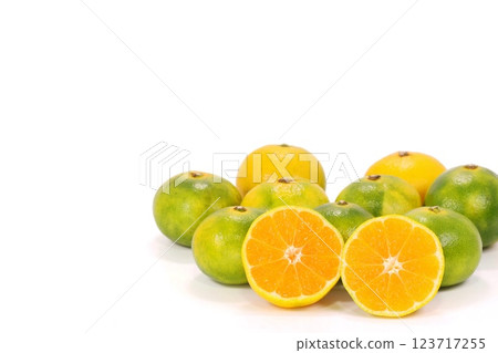 Nishiura mandarin oranges, early mandarin oranges, cut, cross section, bright background, produced in Shizuoka Prefecture Nishiura mandarin oranges, early mandarin oranges, cut, cross section, bright background, produced in Shizuoka Prefecture 123717255