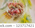 Chestnut watercolor painting 123717421