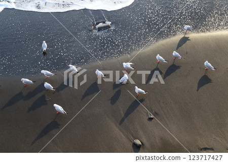 Seaside of the beach 123717427